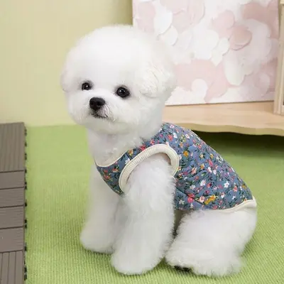 귀여운 강아지 용품 겨울 김장 꽃무느 패션 강아지옷 대표 이미지