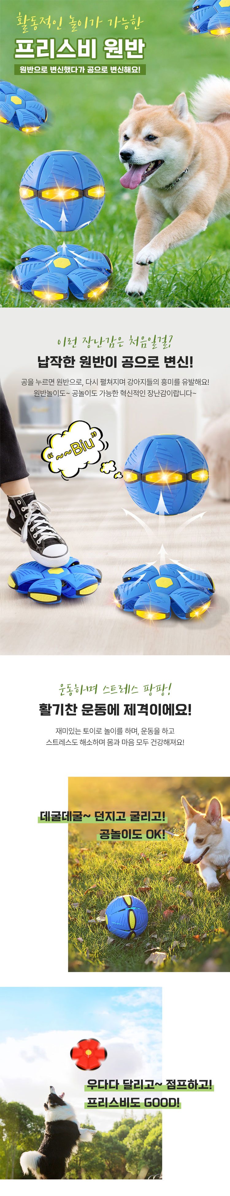 강아지 프리스비 원반 장난감 놀이 훈련용 3개 묶음 상세 이미지 1