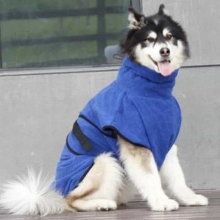 강아지 고양이 목욕가운 극세사 샤워타월 펫타월 대표 이미지