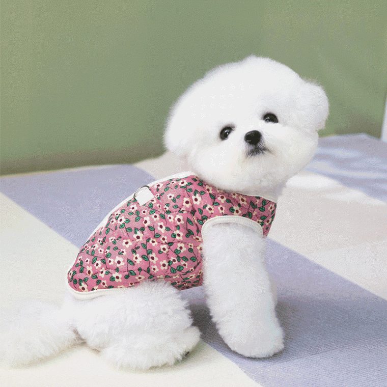 강아지 김장조끼 꽃무늬 강아지옷 촌캉스 3개 묶음 대표 이미지