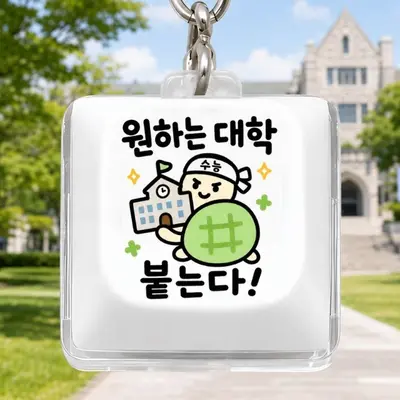 수능 멜론빵 거북이 1구 키캡 키링 가방장식 캐릭터 3개 묶음 대표 이미지