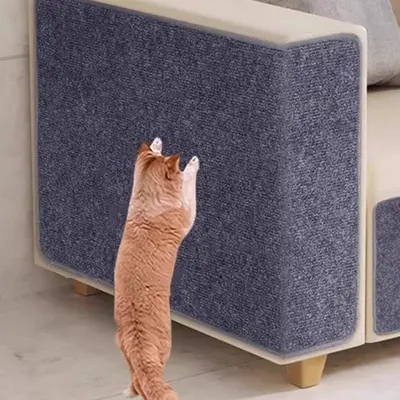 고양이 매트 소파 테이프 접착 카펫 스크래쳐 캣타워 3개 묶음 대표 이미지