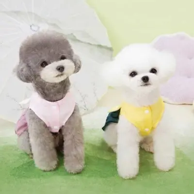 강아지 고양이 한복원피스 명절룩 한복케이프 대표 이미지