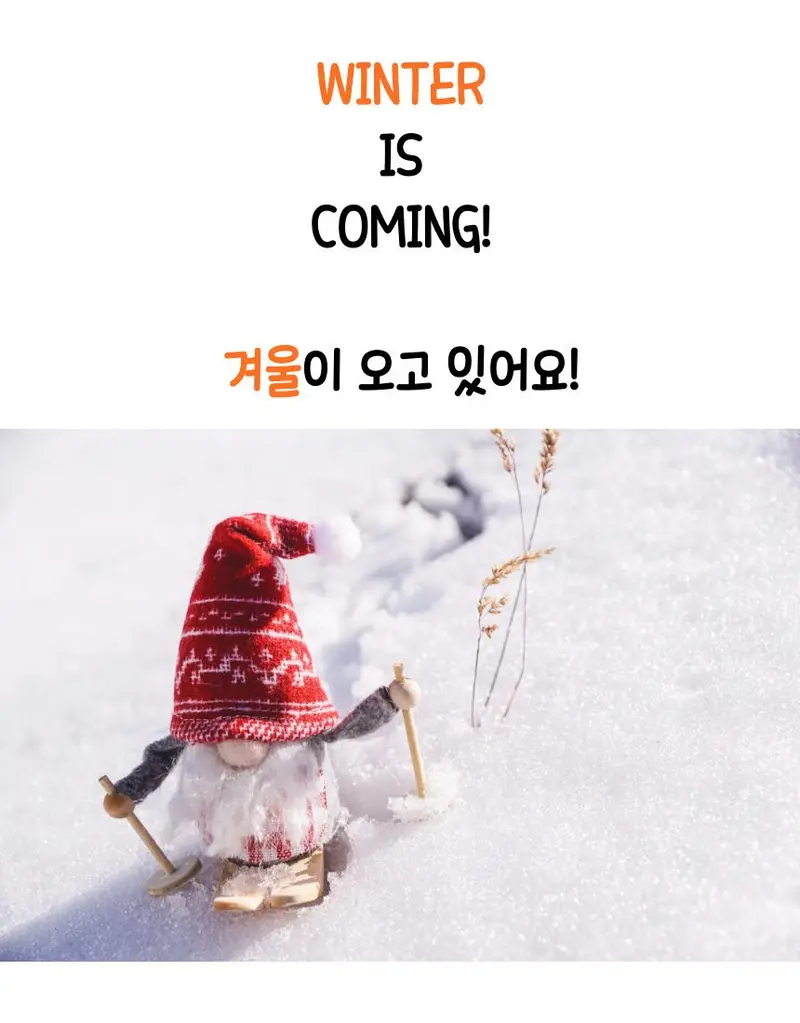 여성 기모 장갑 핑거홀 스마트폰 터치 여성장갑 상세 이미지 1