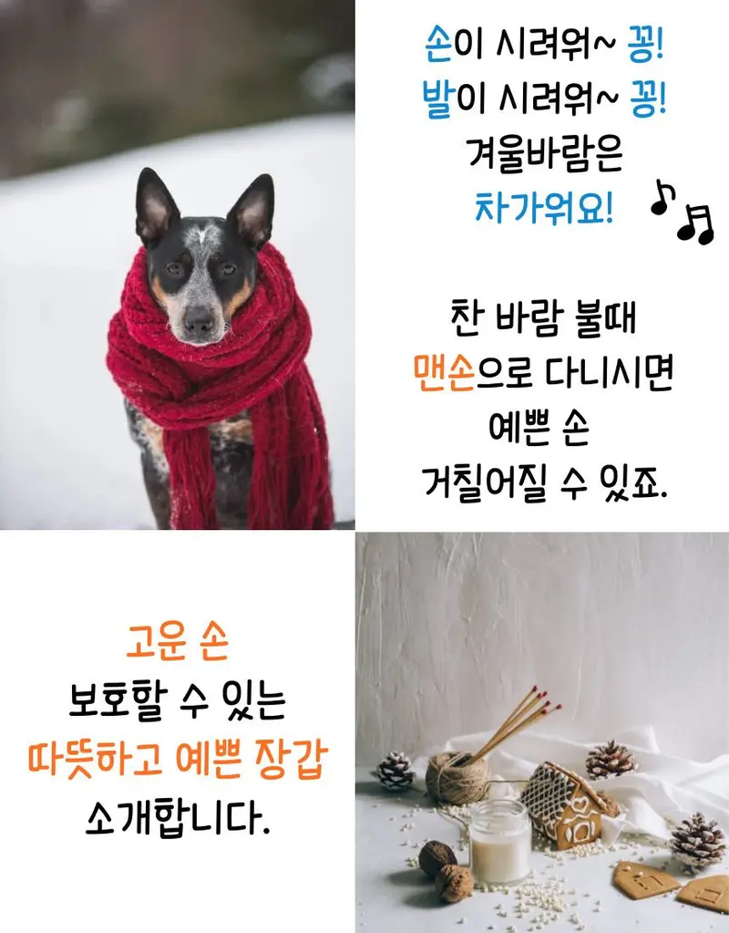 여성 기모 장갑 핑거홀 스마트폰 터치 여성장갑 상세 이미지 2