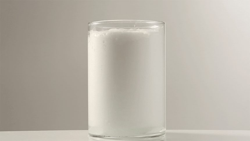 비글로 허니 선물세트 대용량 텀블러 900ml 2개 상세 이미지 3