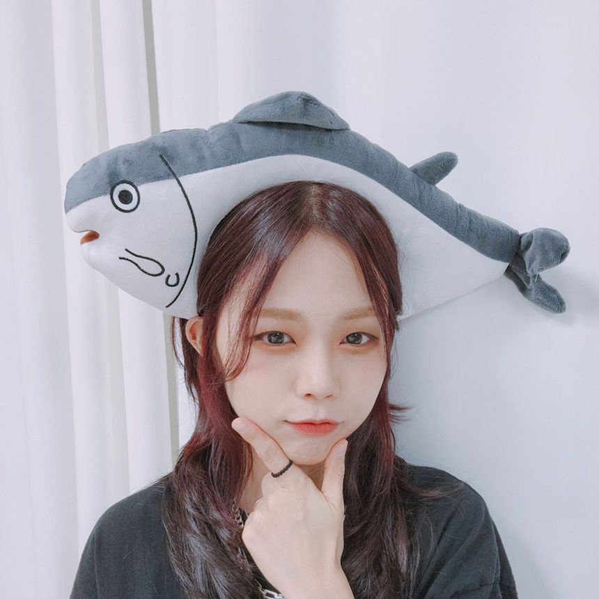 생선 머리띠 크리스마스 파티 인생네컷 생일파티 가면/머리띠 3개 묶음 상세 이미지 1