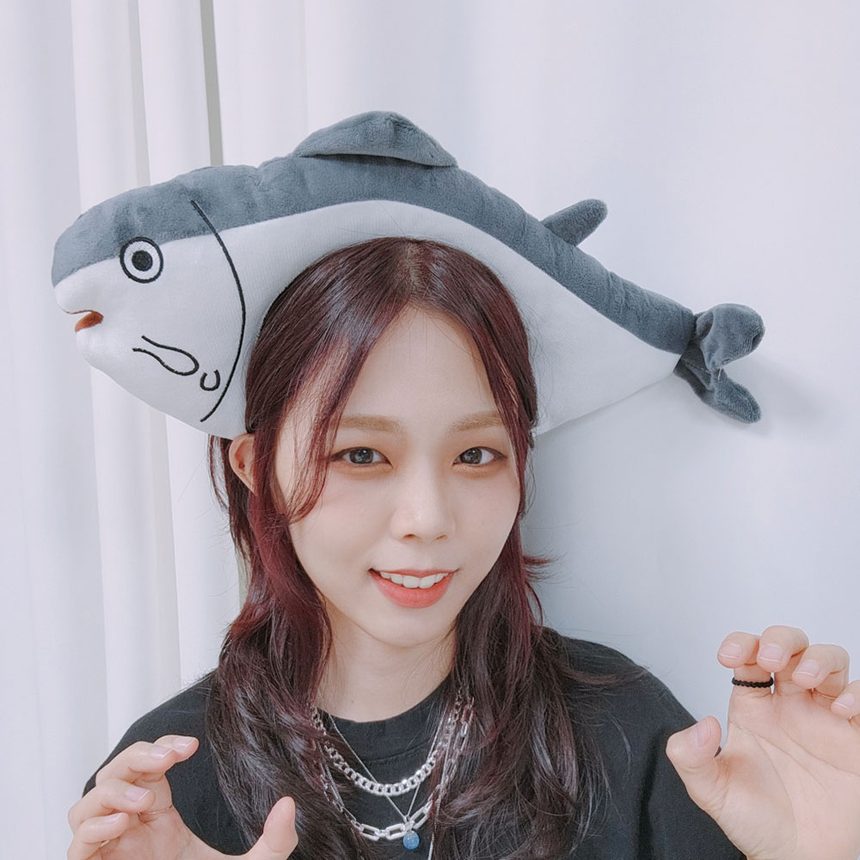 생선 머리띠 크리스마스 파티 인생네컷 생일파티 가면/머리띠 3개 묶음 상세 이미지 2