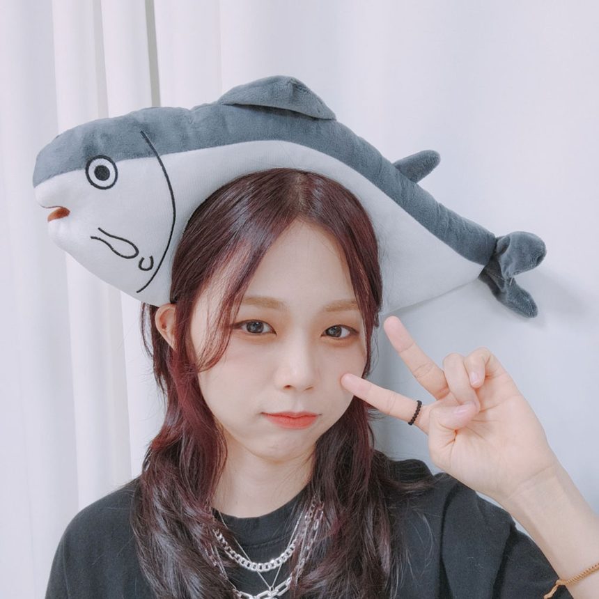생선 머리띠 크리스마스 파티 인생네컷 생일파티 가면/머리띠 3개 묶음 상세 이미지 3