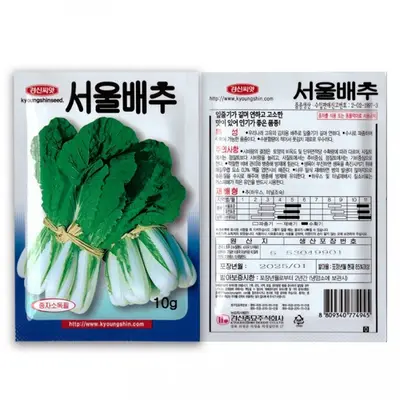 경신 김치 김장용 서울배추 씨앗 10g 조선배추 3개 묶음 대표 이미지
