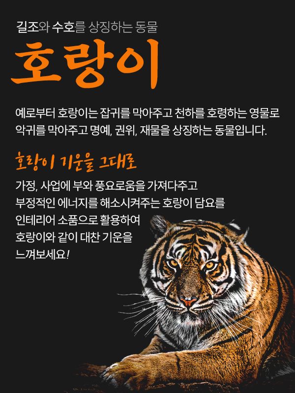 초극세사 호랑이담요 상세 이미지 2
