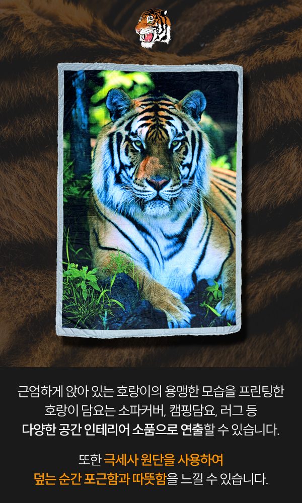 초극세사 호랑이담요 상세 이미지 3