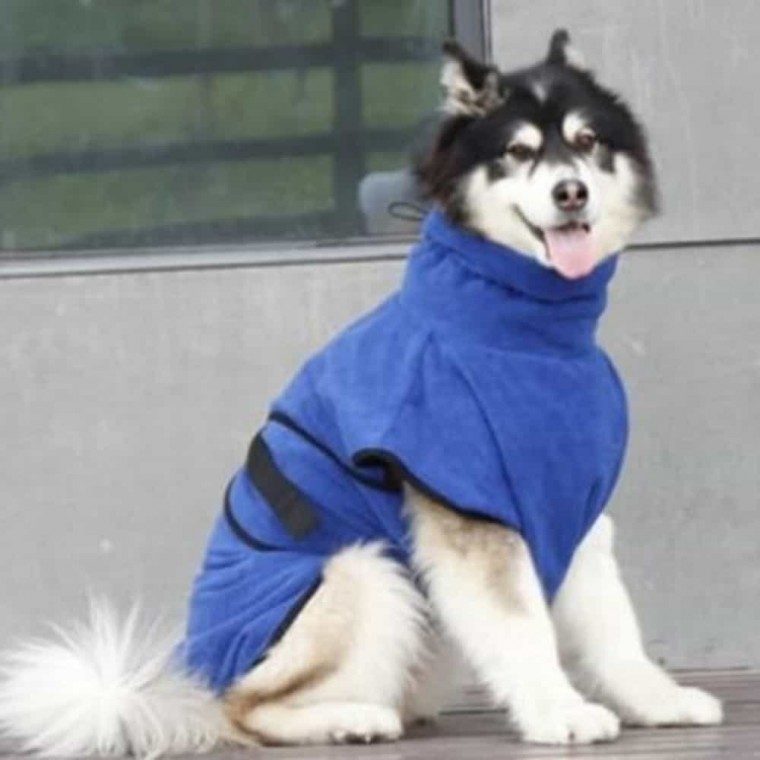 강아지 고양이 목욕타월 극세사 가운 S 강아지목욕타월 대표 이미지