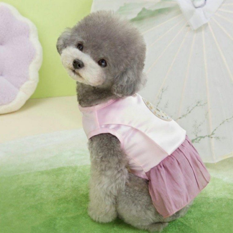 애견의류 한복 고양이 강아지 명절 원피스 드레스 대표 이미지