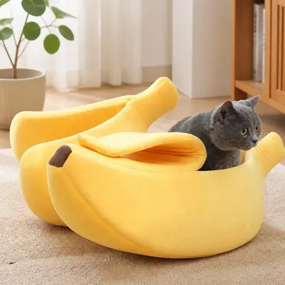 바나나하우스 고양이 강아지 쿠션 방석 L XL 대표 이미지