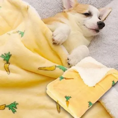 고양이 강아지 반려동물 겨울 이불담요 대표 이미지