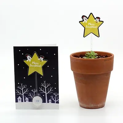 씨드스틱 선물 크리스마스 별 씨앗카드 대표 이미지