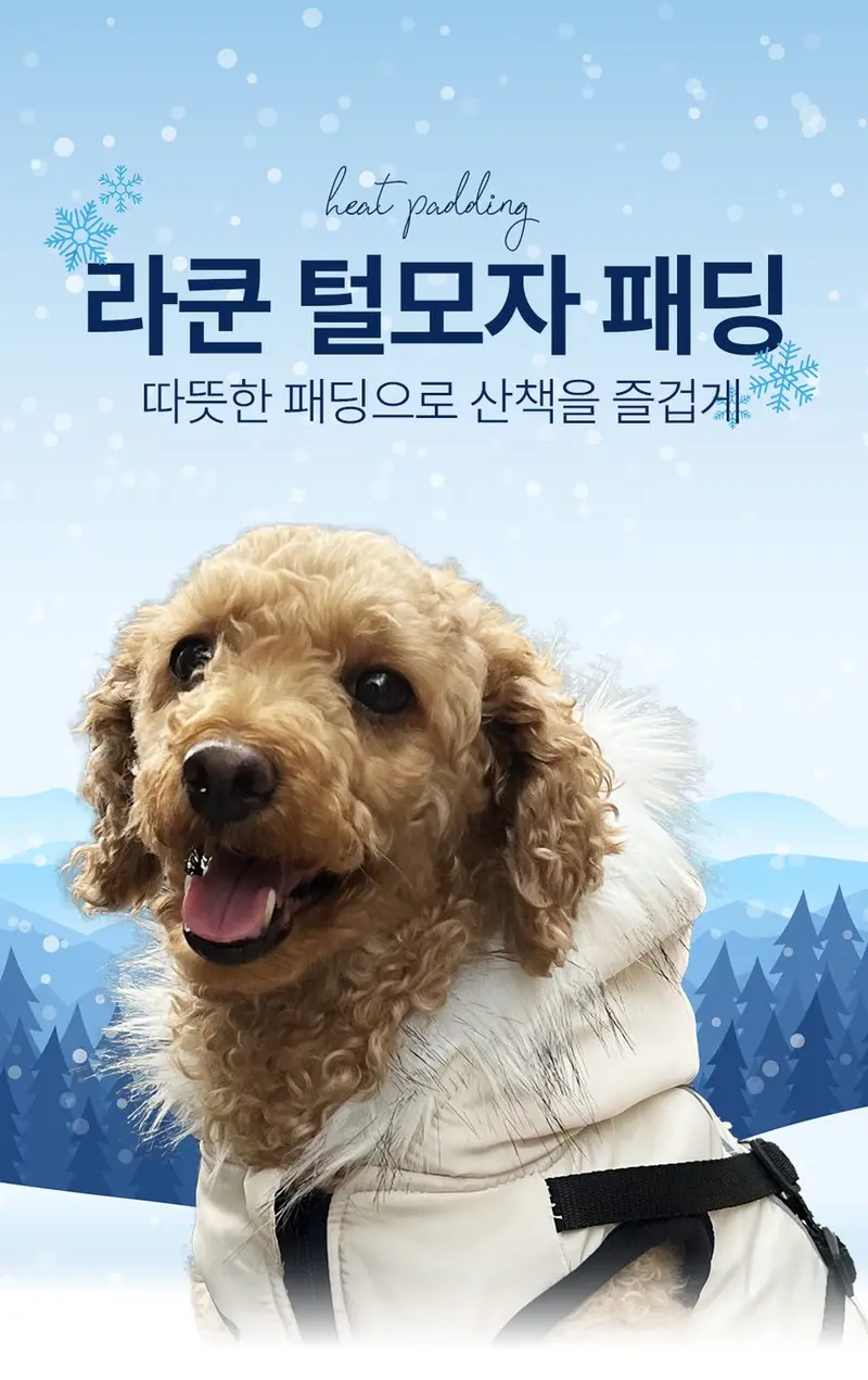 라쿤 털모자 패딩 상세 이미지 1