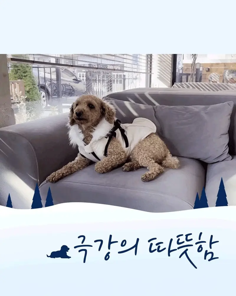 라쿤 털모자 패딩 상세 이미지 3