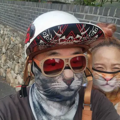 라이더 고양이 모양 귀걸이형 바라클라바 스포츠마스크 3개 묶음 대표 이미지