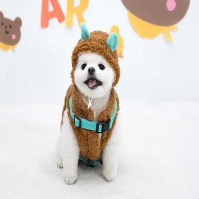 바로찬 하네스패딩세트 브라운 S 강아지패딩조끼 대표 이미지