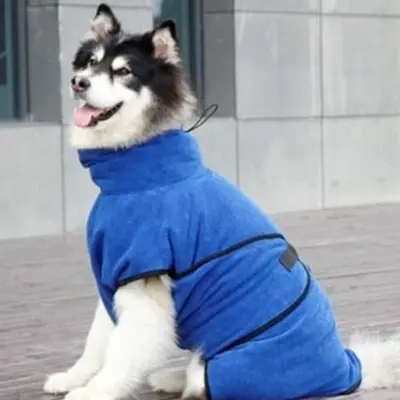 반려동물수건 고양이수건 강아지 펫 목욕타월 고양이 대표 이미지