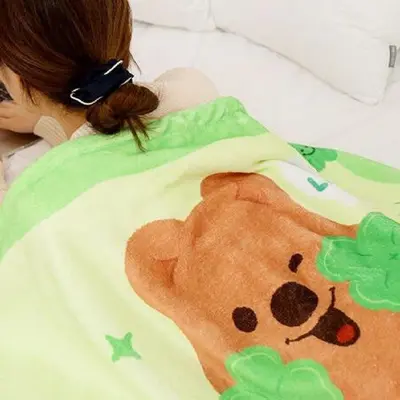 캐릭터 담요 캐릭터담요 소파담요 사무실담요 대표 이미지