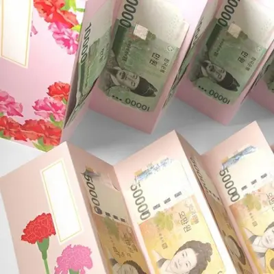 환갑 세뱃돈 감사 카네이션 용돈 이벤트 보너스 선물 대표 이미지