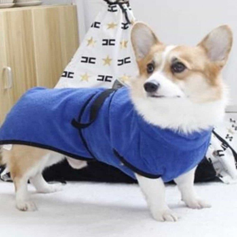 강아지 고양이 목욕타올 애견샤워가운 강아지수건 대표 이미지