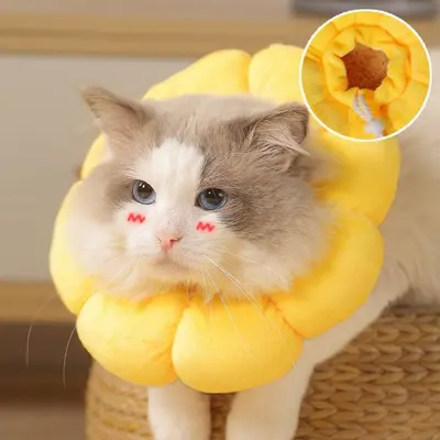 강아지 고양이 해바라기 넥카라 목쿠션 깔때기 중성화 3개 묶음 대표 이미지