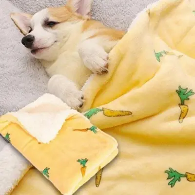 반려동물 고양이 담요 이불 강아지 겨울 침구 애완동물침구 대표 이미지