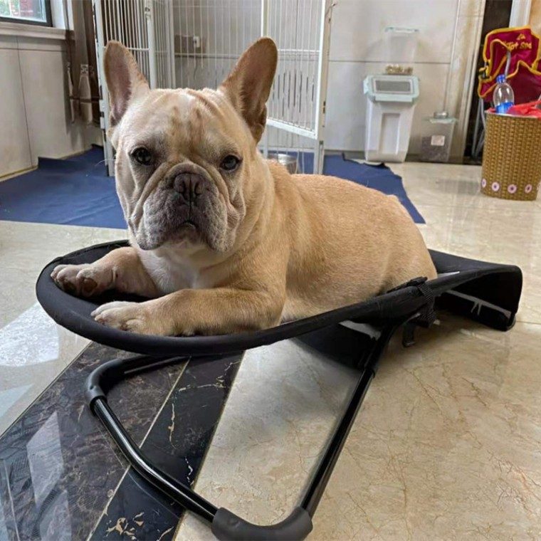 반려동물해먹 강아지 고양이 흔들 침대 쿠션 방석 대표 이미지
