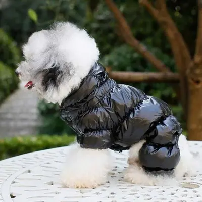 강아지 보온 겨울옷 외출용 패딩 L XL 강아지겨울옷 대표 이미지