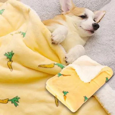 강아지 고양이 애견 반려견 겨울 이불 담요 개방석 대표 이미지