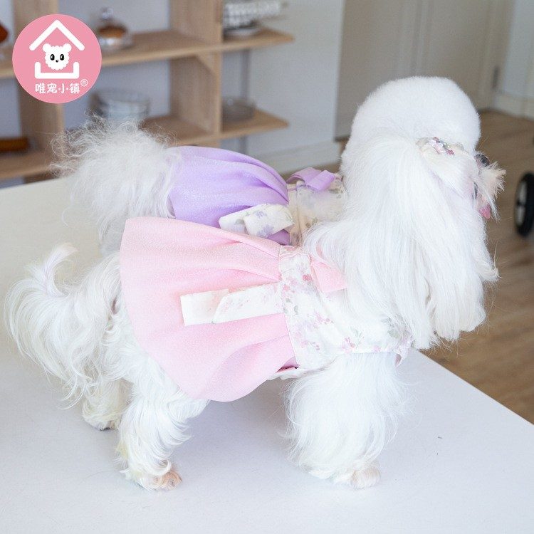 강아지 고양이 예쁜 한복 대표 이미지
