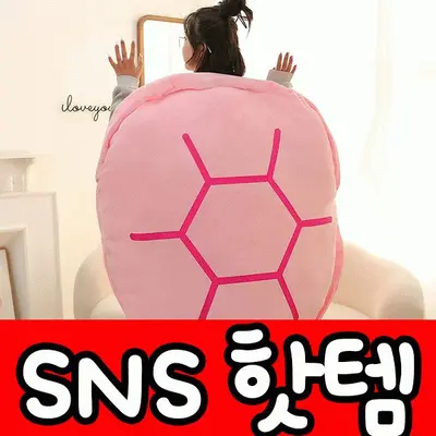 쿠션 방석 거북이 등딱지쿠션 반전 양면 문어쿠션 대표 이미지