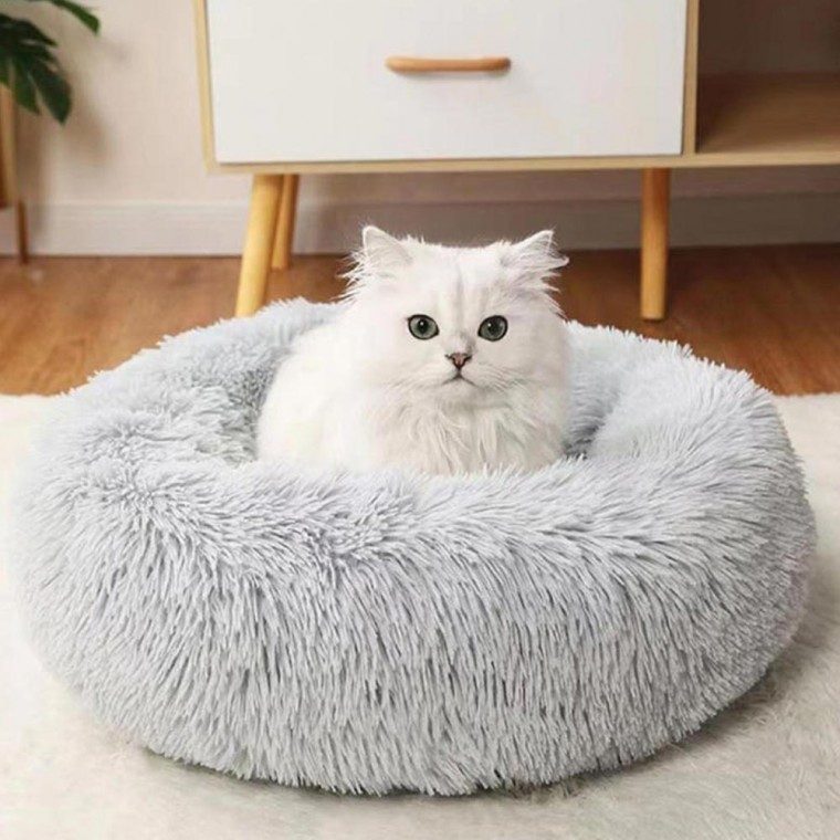 반려동물 방석 강아지 고양이 쿠션 3개 묶음 대표 이미지