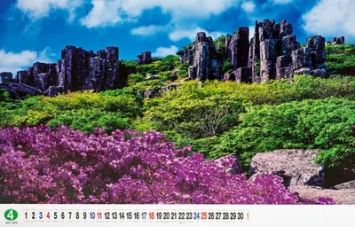 2027년 초대형 달력 한국 명소 풍경 대자연 대표 이미지