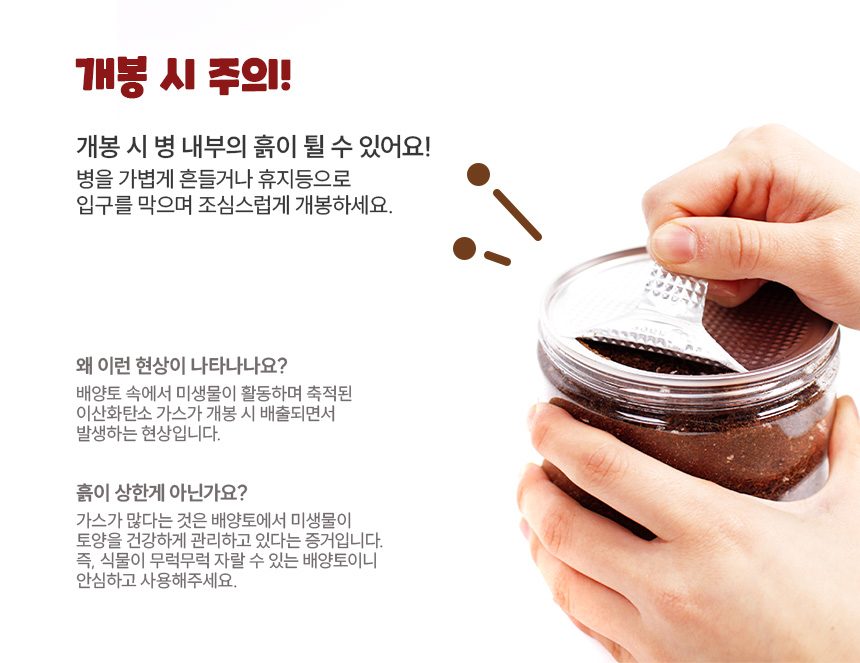 이지그로우 식물재배키트 방울토마토 딸기 고수 식용식물 3개 묶음 상세 이미지 2