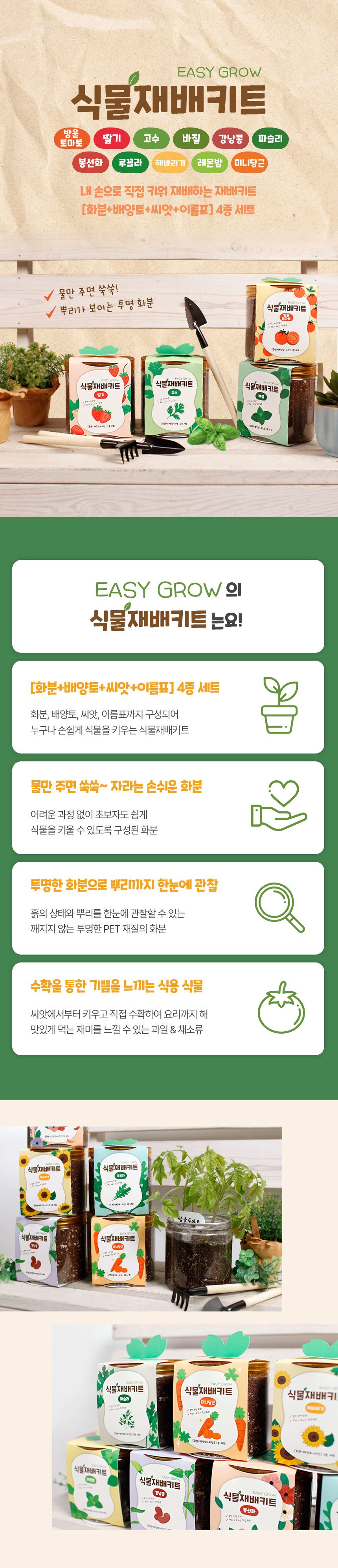 이지그로우 식물재배키트 방울토마토 딸기 고수 식용식물 3개 묶음 상세 이미지 3