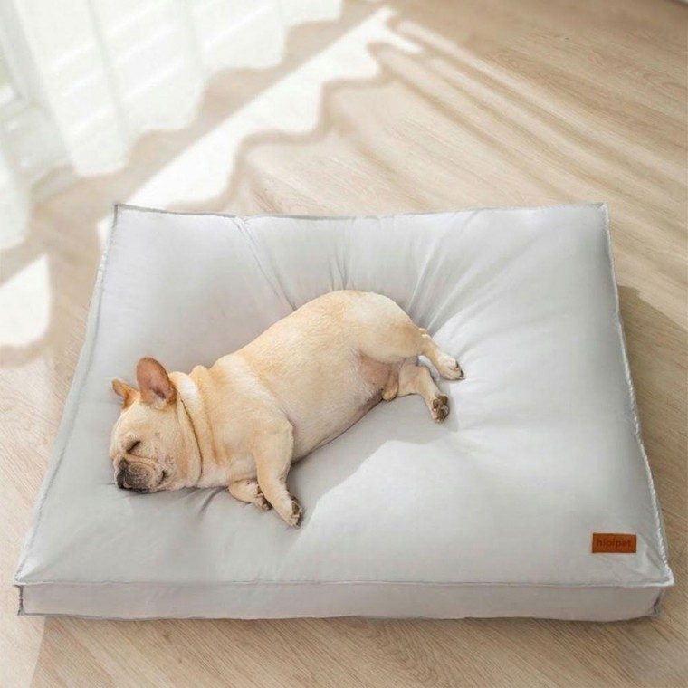 펫방석 강아지 고양이 쿠션 펫소파 대표 이미지