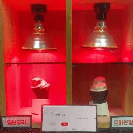 3M 무점착 창문 시트지 사생활보호 지킴이 포인트시트지 상세 이미지 2