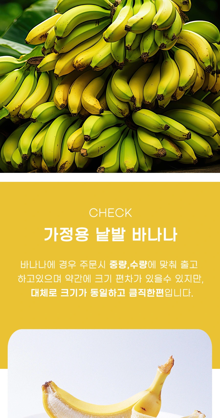 낱발바나나 상품소개 상세페이지 2