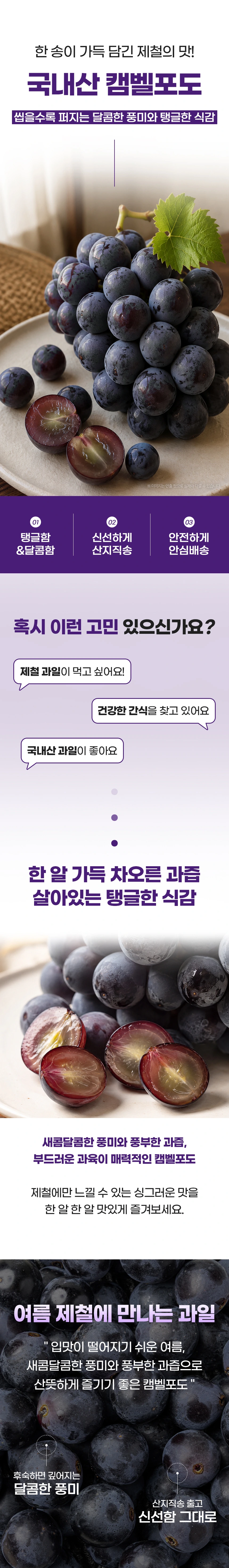 캠벨포도 상품소개 상세페이지 1