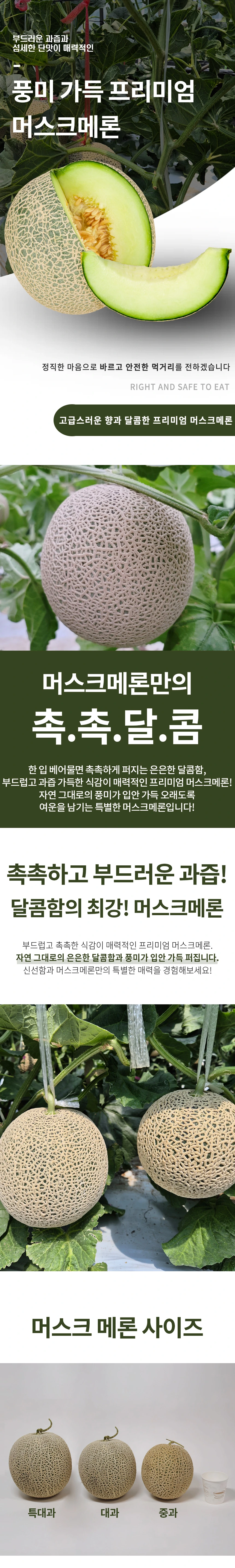 국내산 머스크메론 상품소개 상세페이지 1