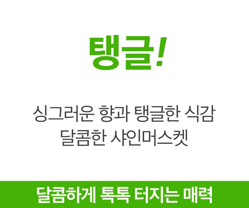 샤인머스켓 상품소개 상세페이지 1