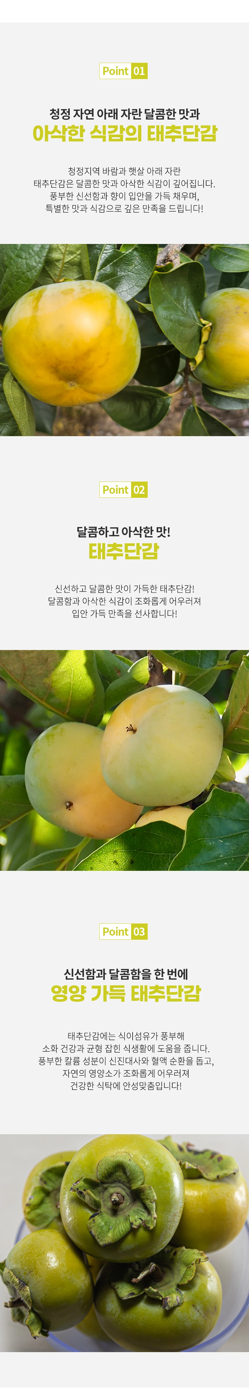 태추단감 상품소개 상세페이지 2