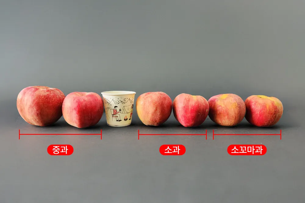 거래처 제공 홍로사과 상품자료 2