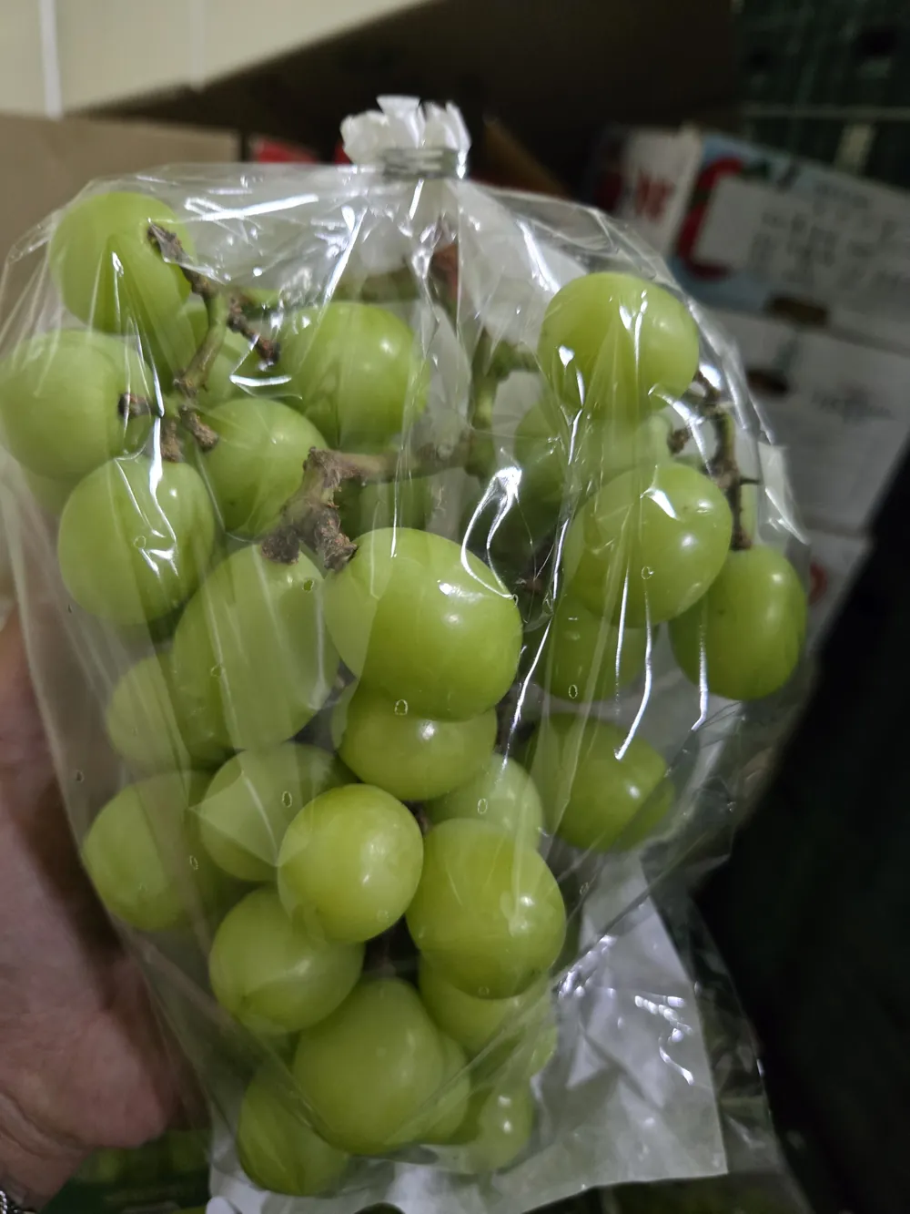 거래처 제공 샤인머스켓 상품자료 3